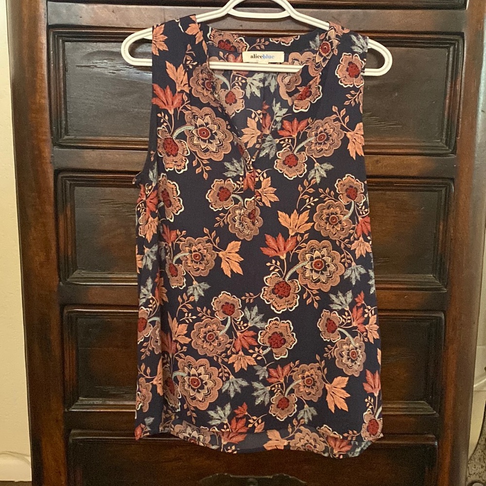 Sleeveless Alice Blue blouse from Stitchfix